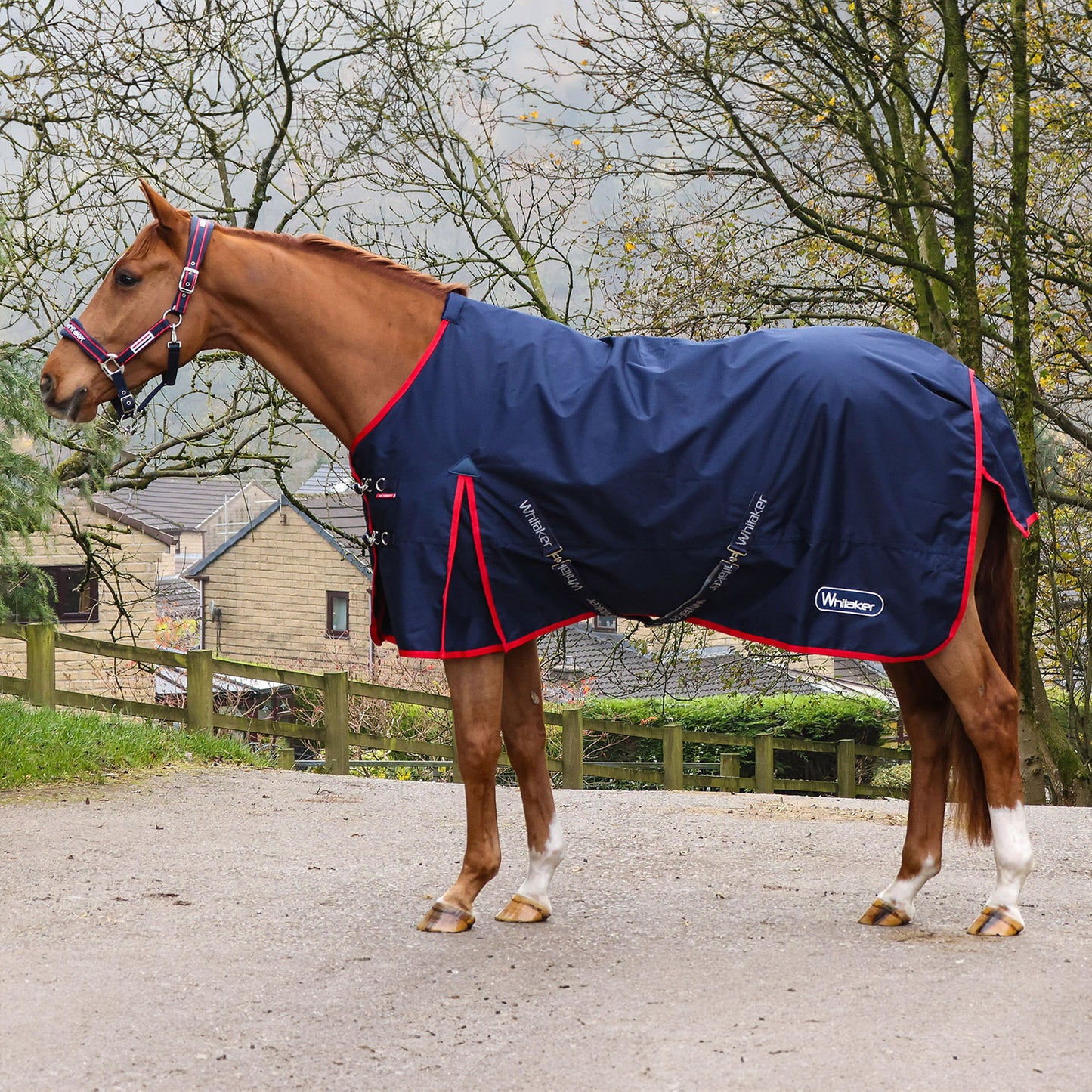Whitaker R443 Rastrick V2 100g Turnout Rug Navy