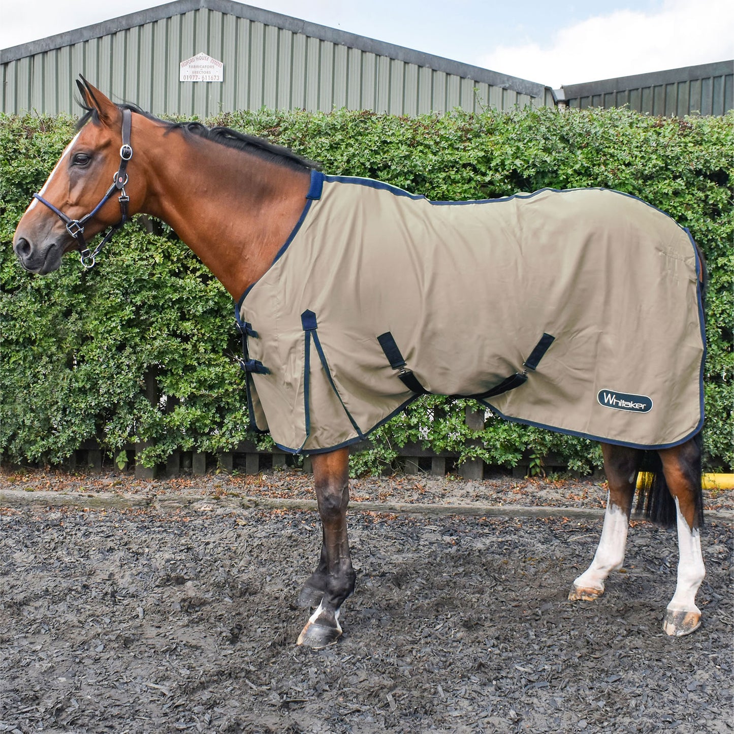 Whitaker R370 Allerton Multi-Function Cotton Sheet