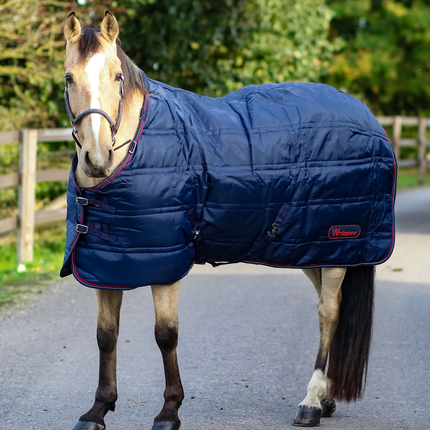 Whitaker R199 Rastrick 200g Stable Rug Reflective Navy