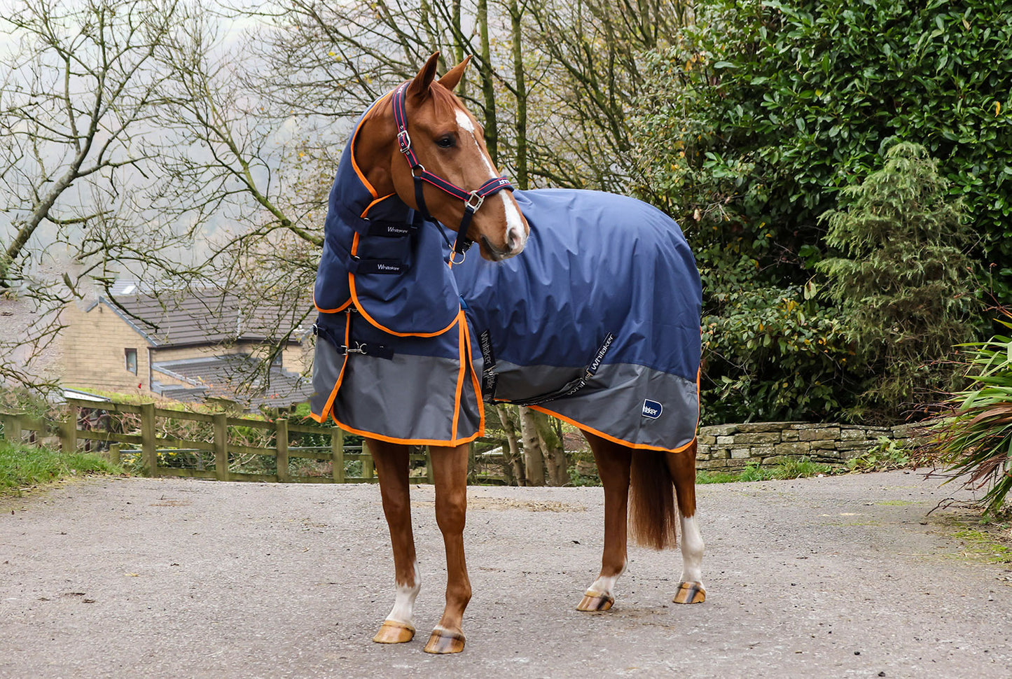 Whitaker R444 Rastrick V2 250g Combo Turnout Rug Navy/Grey