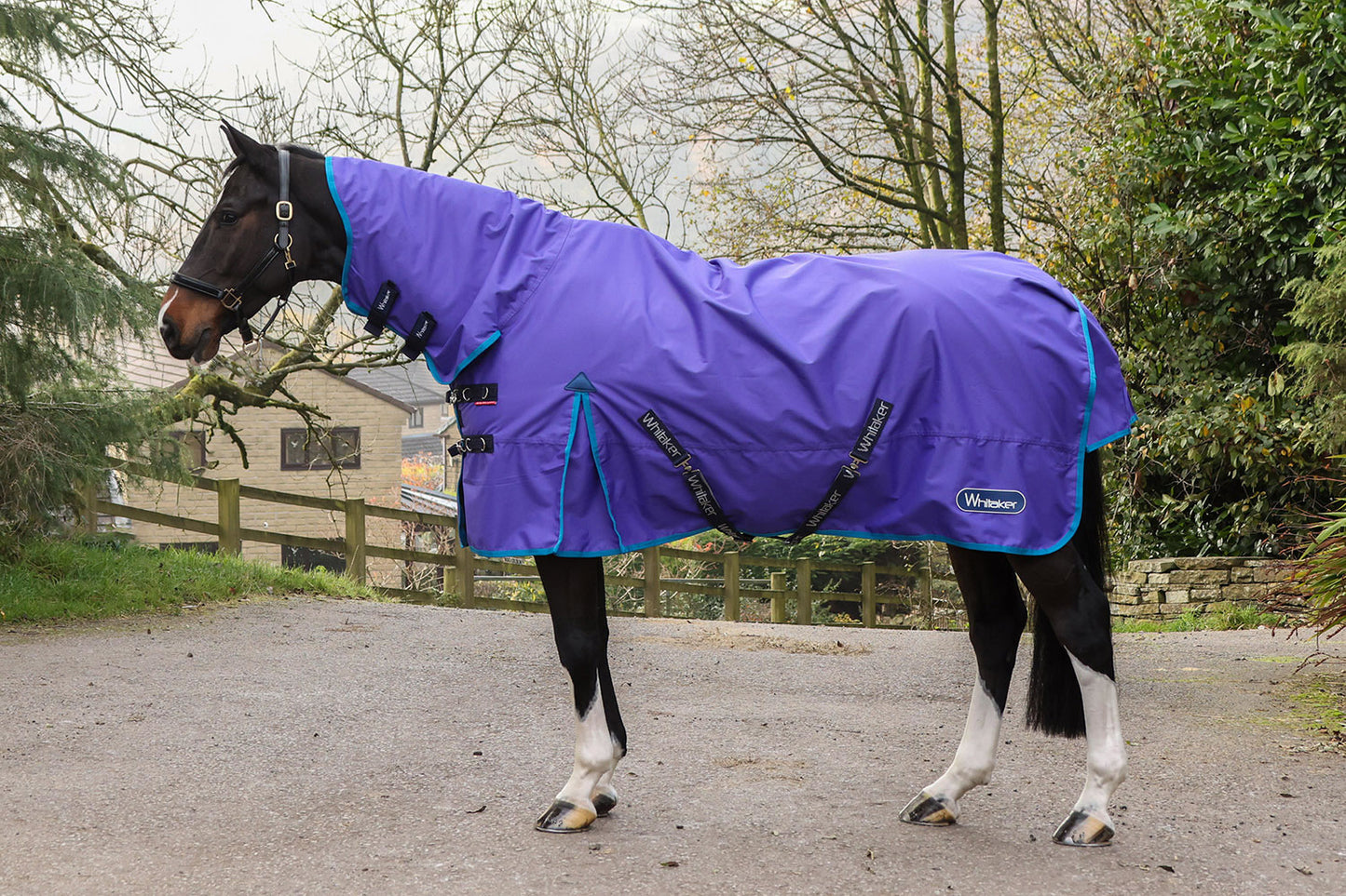 Whitaker R441 Rastrick V2 0g Fixed Neck Turnout Rug Purple