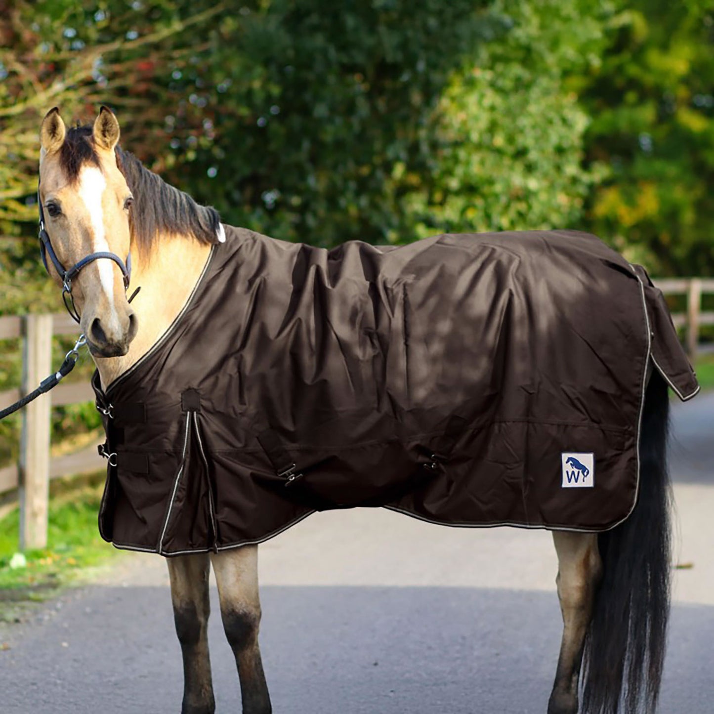 Whitaker WHR1 W-Horse 0g Turnout Rug Brown