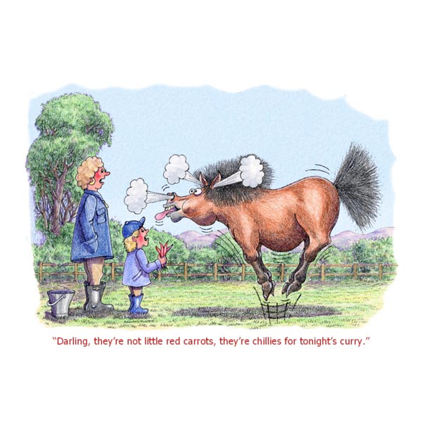 Greetings Card - They're Chillies