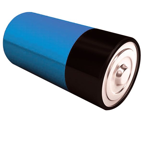 D Cell Battery (2 pack)