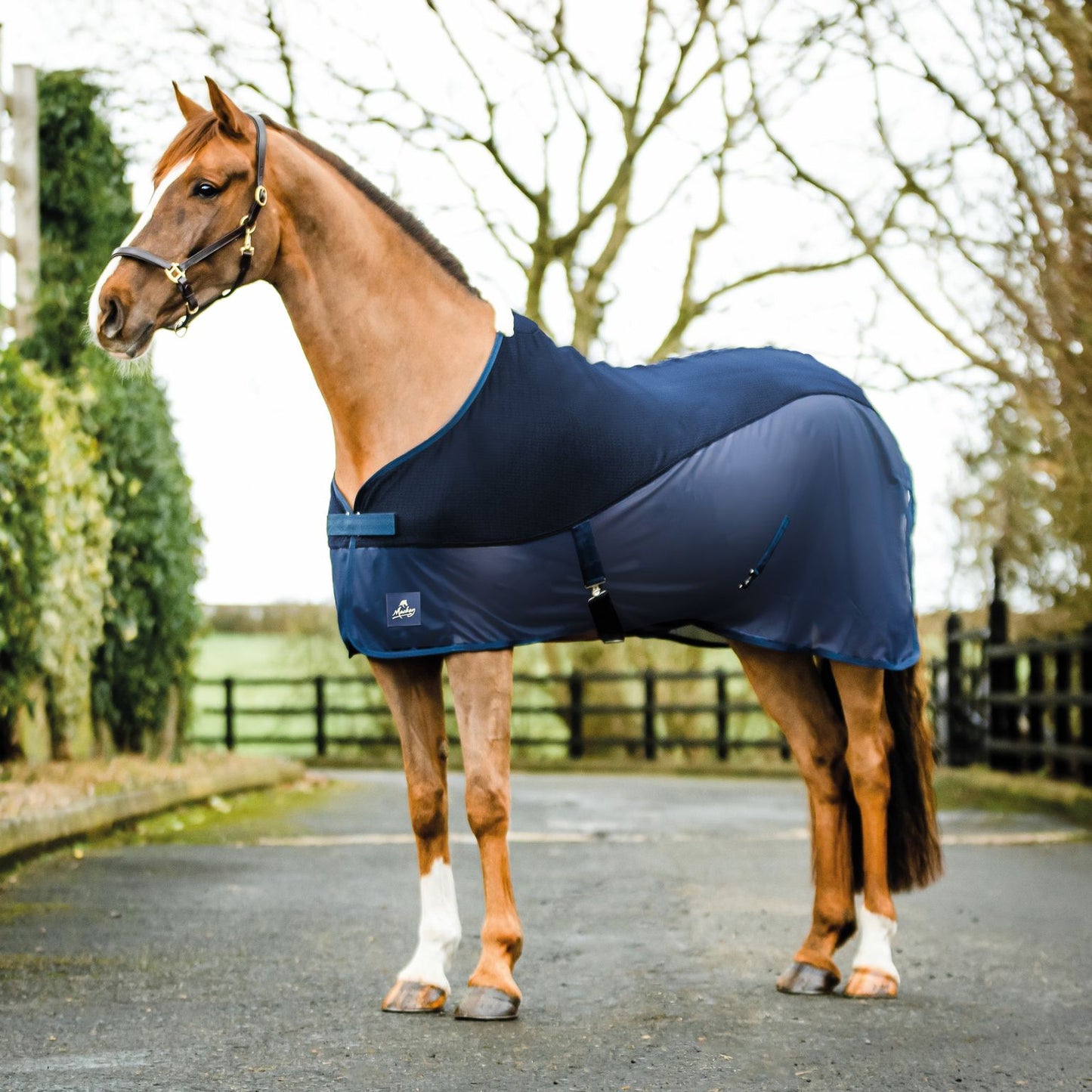Equisential Tara Hybrid Cooler Rug