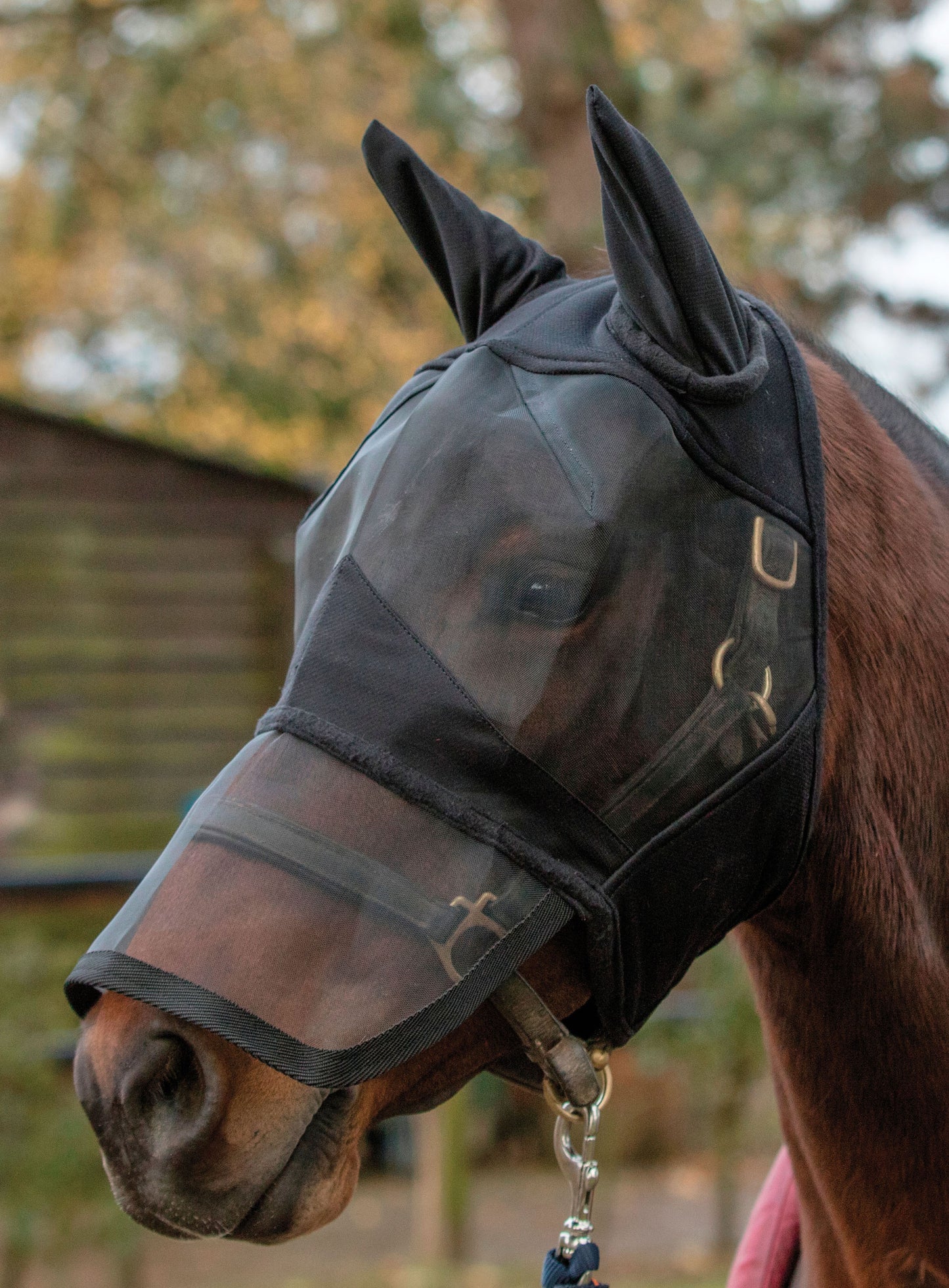 Mark Todd Fly Mask Full Face with Ears Black