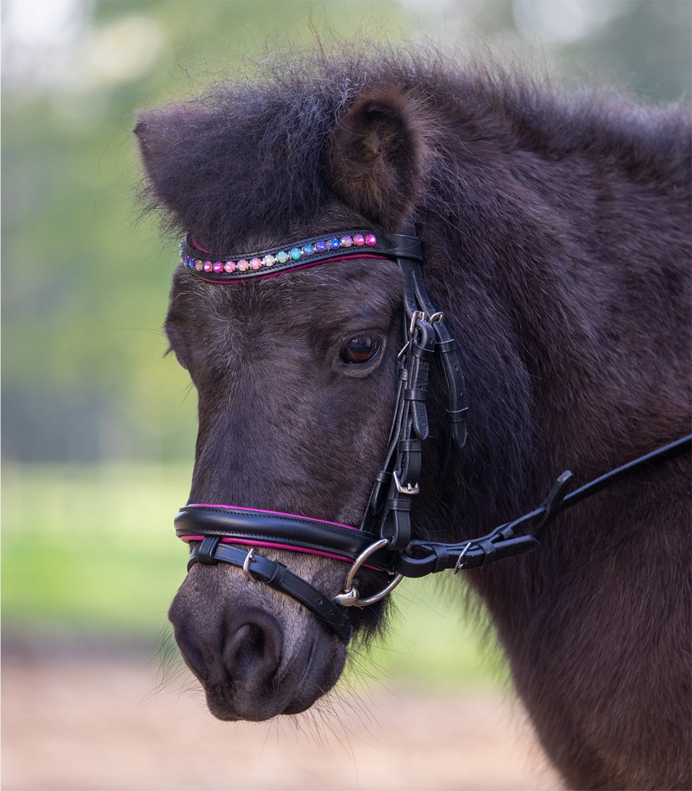 Waldhausen Star Bridle Pinky