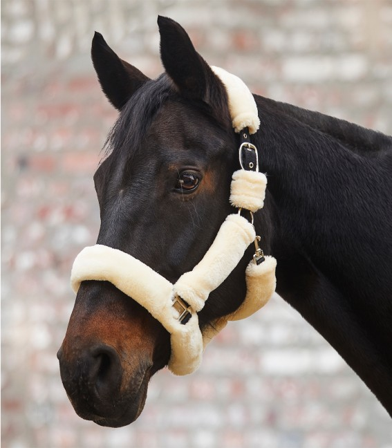Waldhausen Cozy Halter (Headcollar)