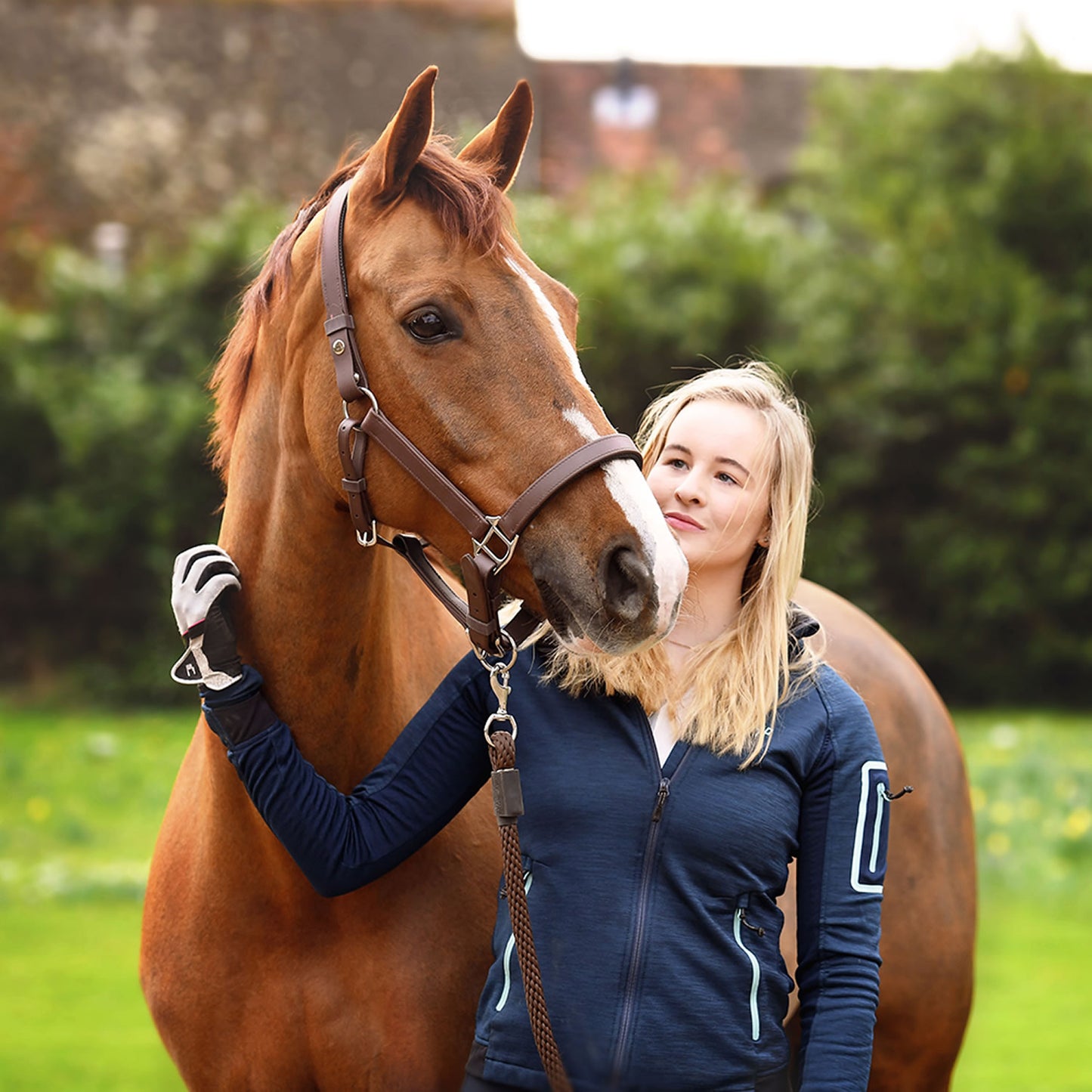 Equilibrium Stellar Headcollar Brown