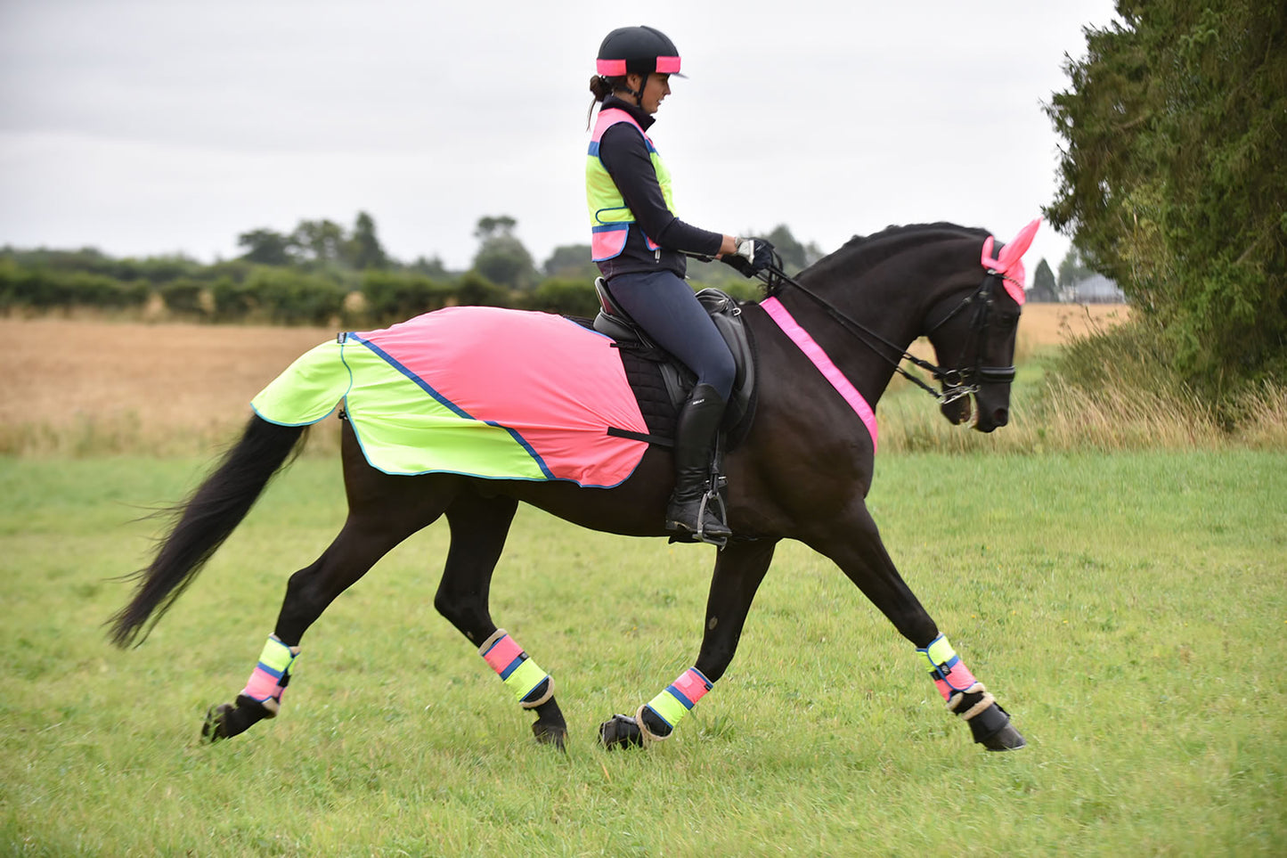Equisafety Multi Coloured Mesh Fly Sheet. Pink/Yellow