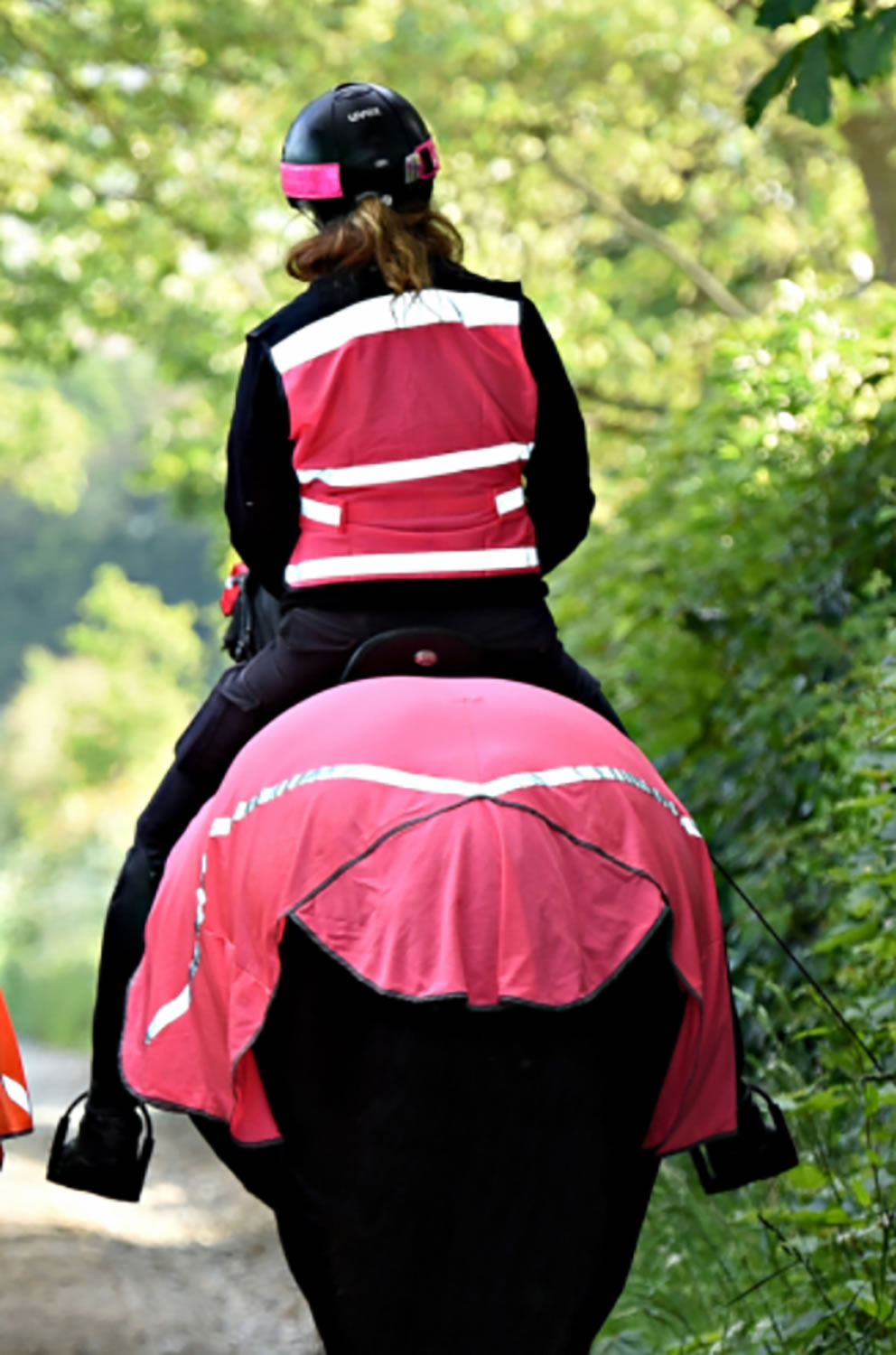 Equisafety Hi Viz Reflective Horse Summer Sheet Pink