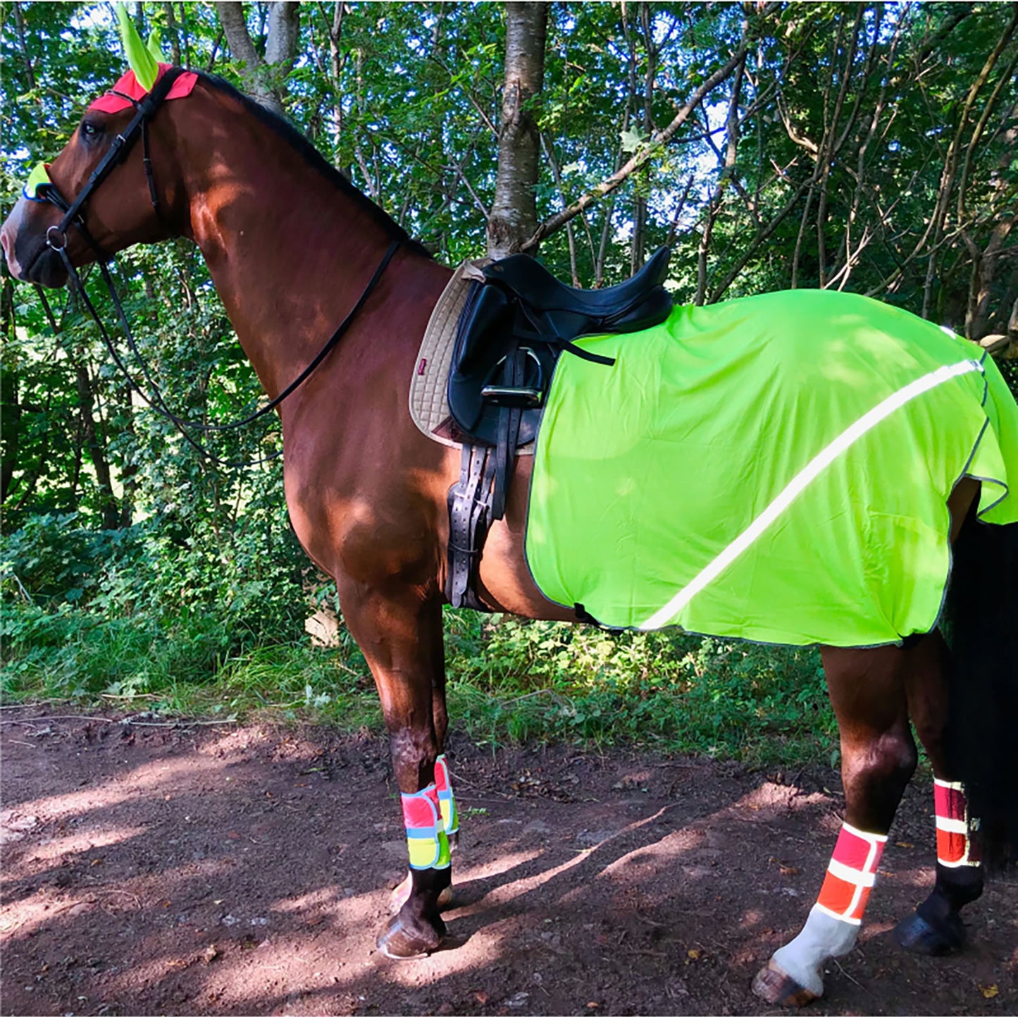Equisafety Hi Viz Reflective Horse Summer Sheet- Yellow