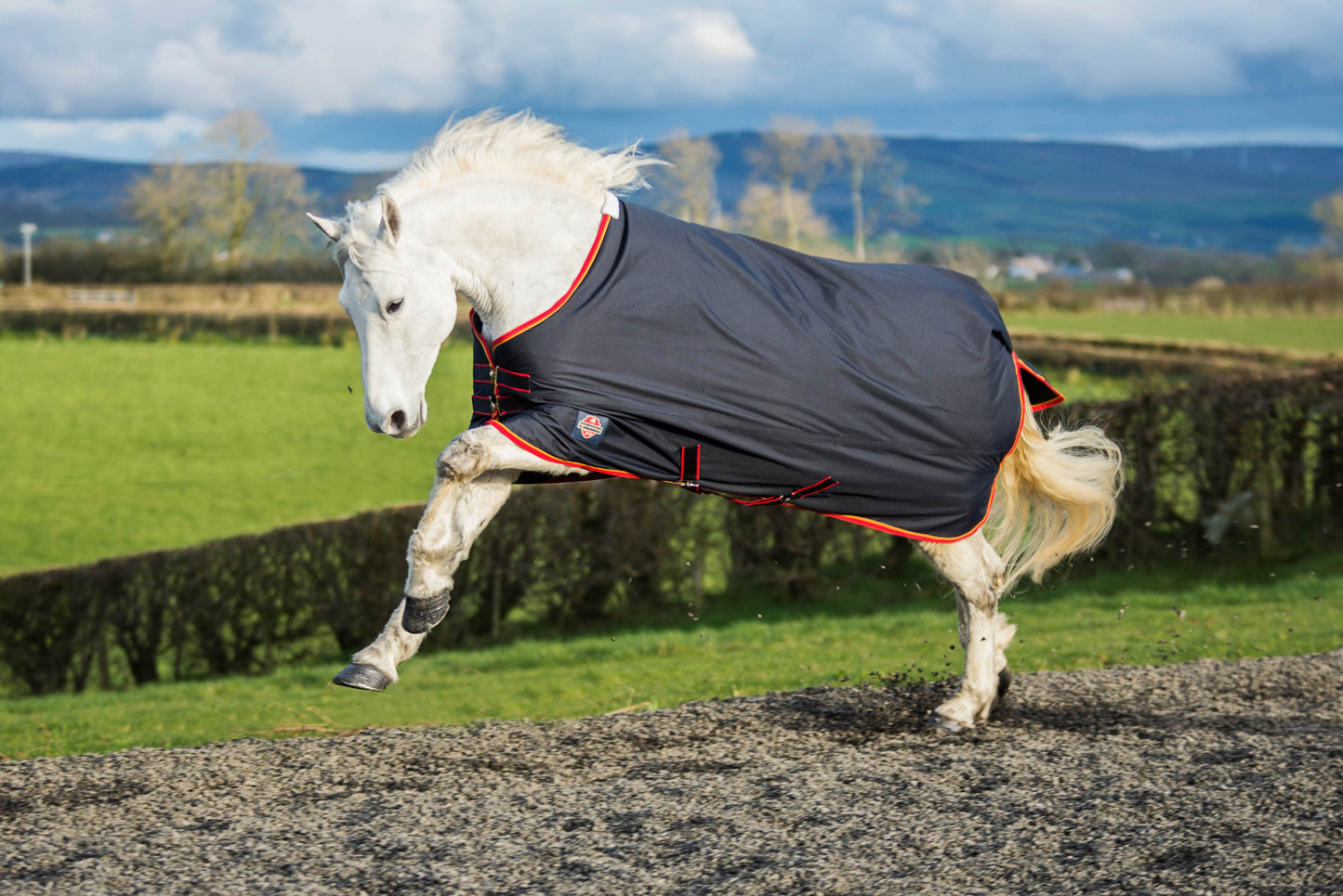 Equisential Standard Medium Turnout Rug