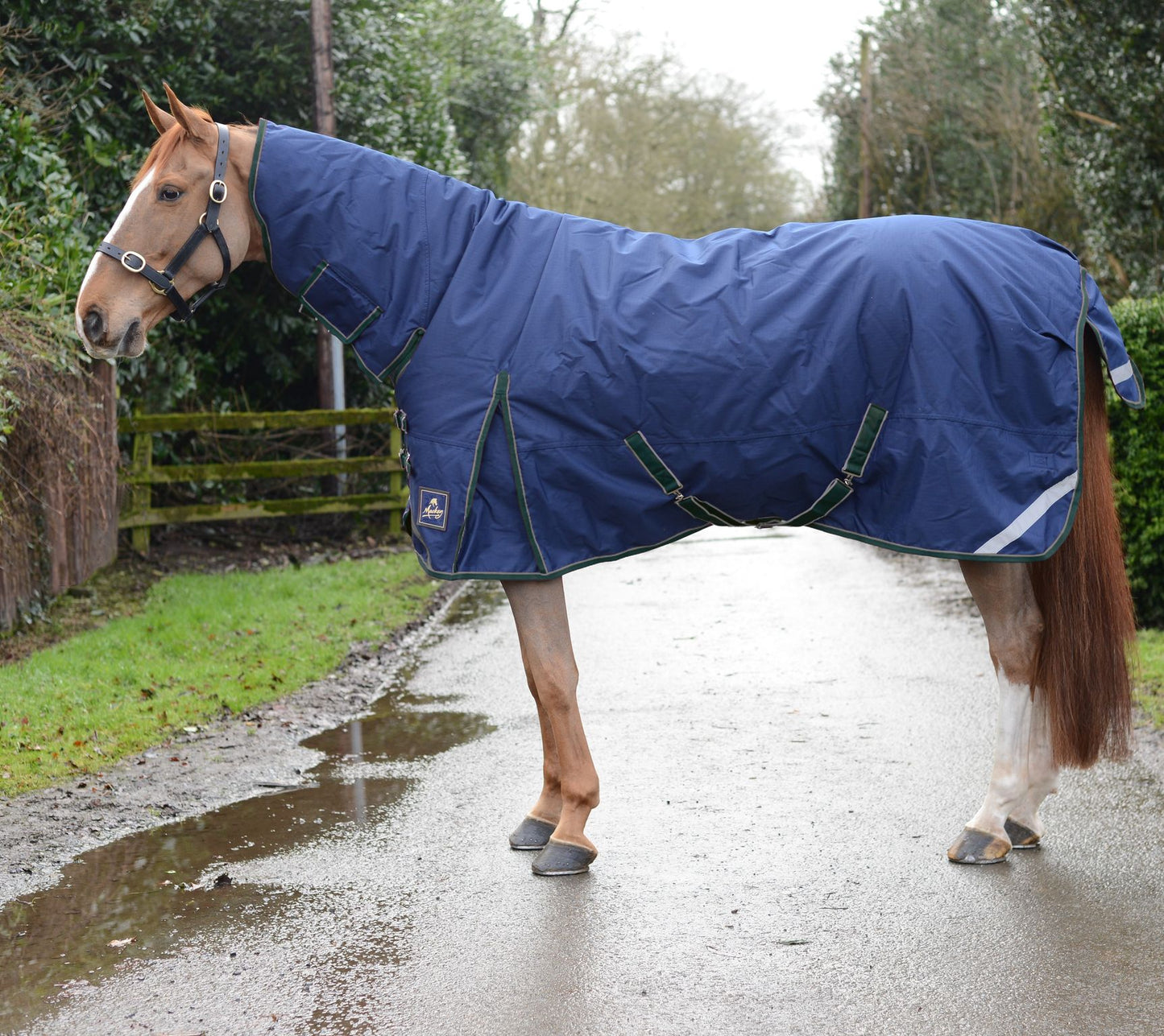 Mackey Keadeen Plus 100g Turnout Rug
