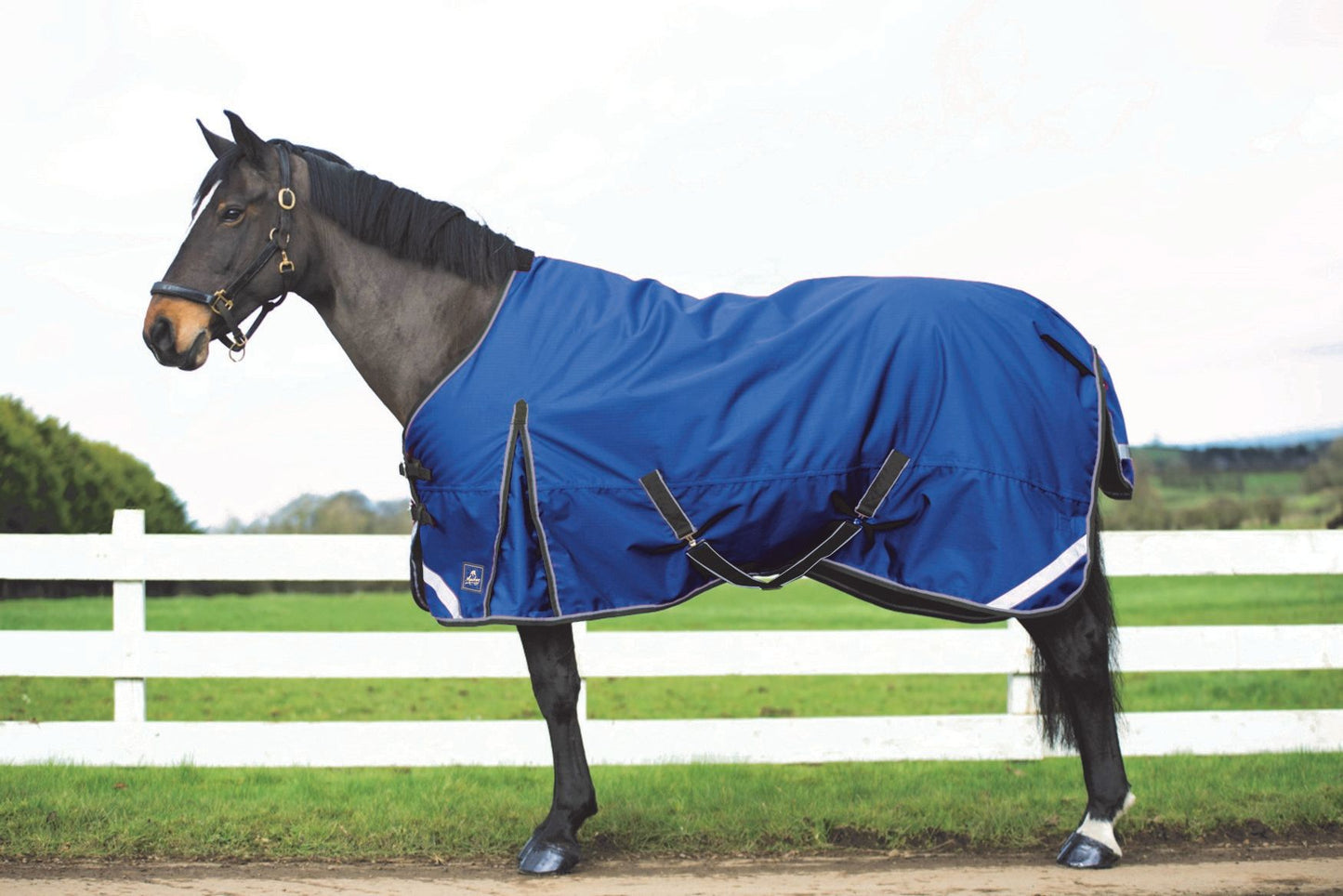 Mackey Keadeen Standard 100g Turnout Rug