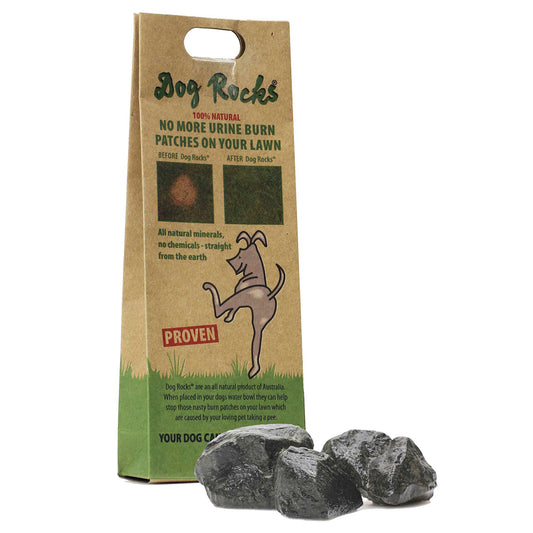 Podium Pet Products Dog Rocks