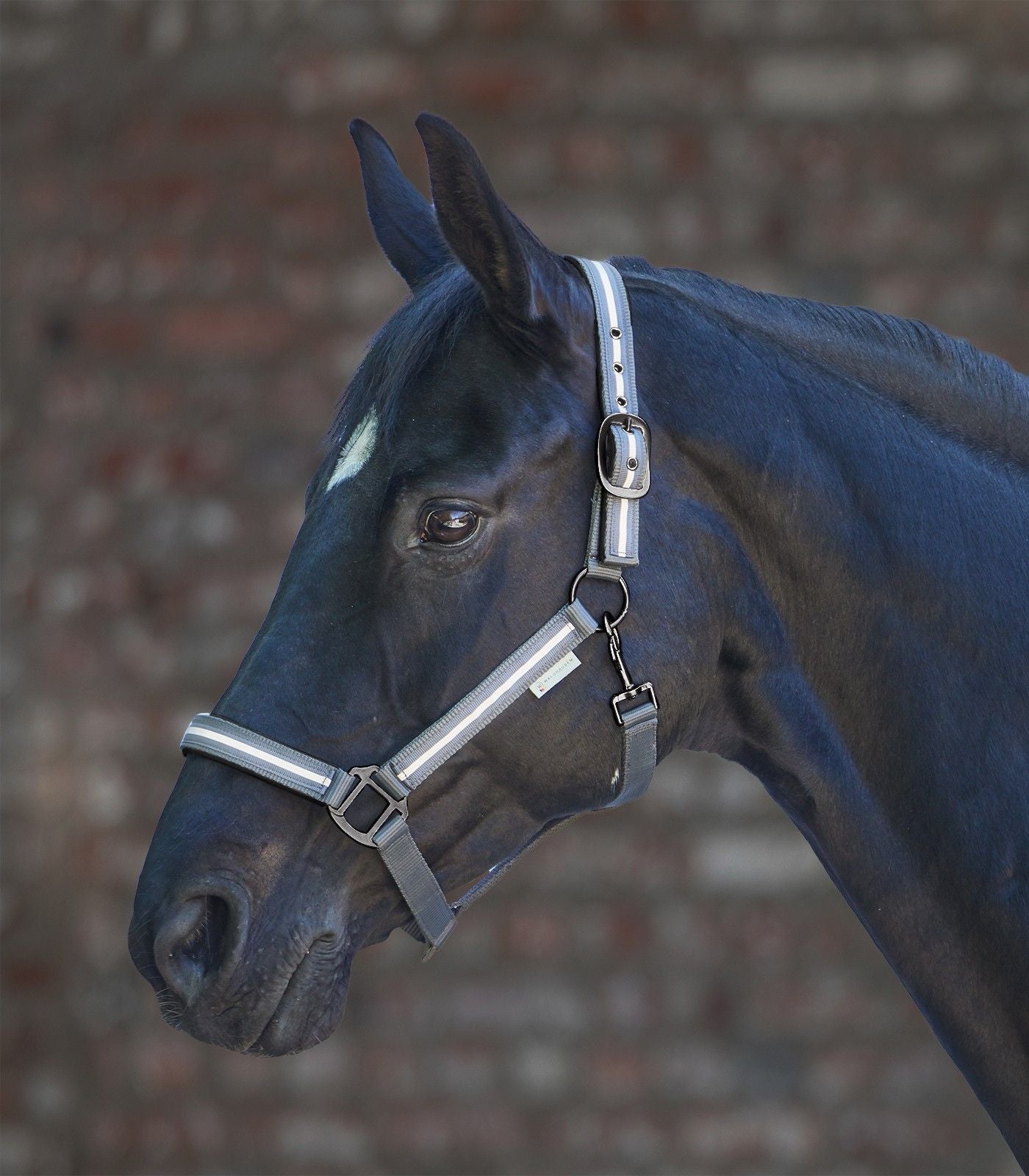 Waldhausen Reflex Stripe Halter (Headcollar)