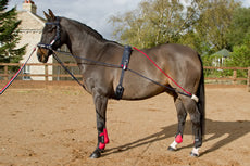 Whitaker Training System