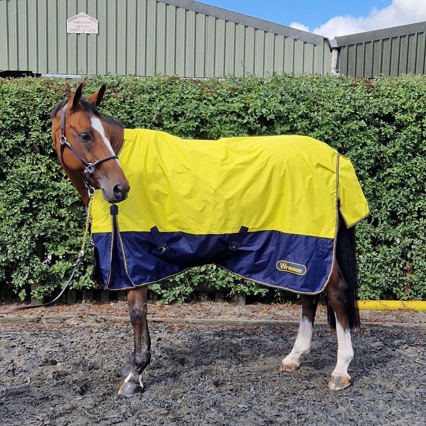 Whitaker Hornsea Turnout Rug 0 Gm Yellow