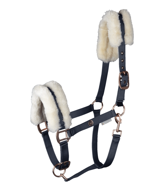 Modern Rose Halter (Headcollar)