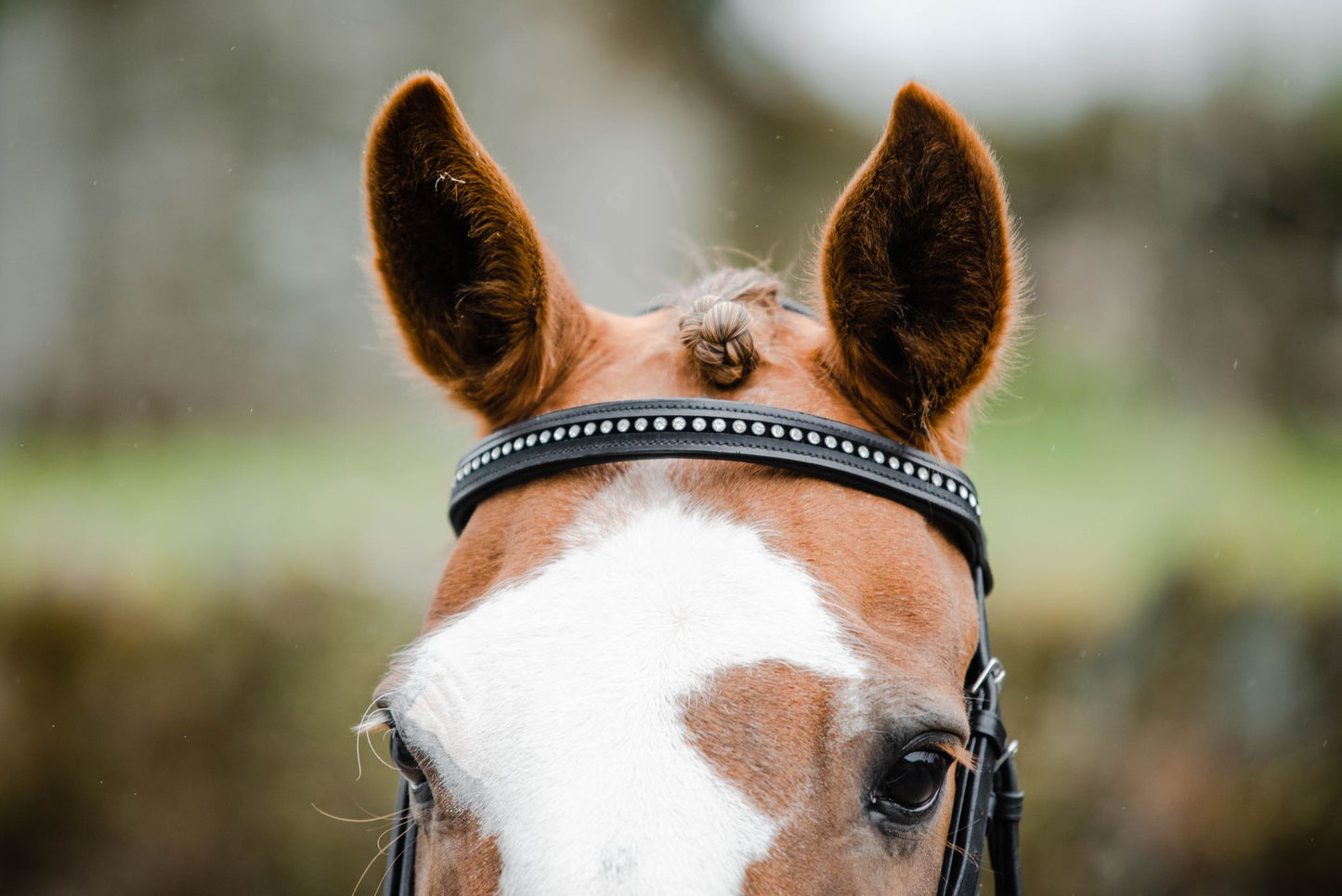 Equisential Bling Bridle