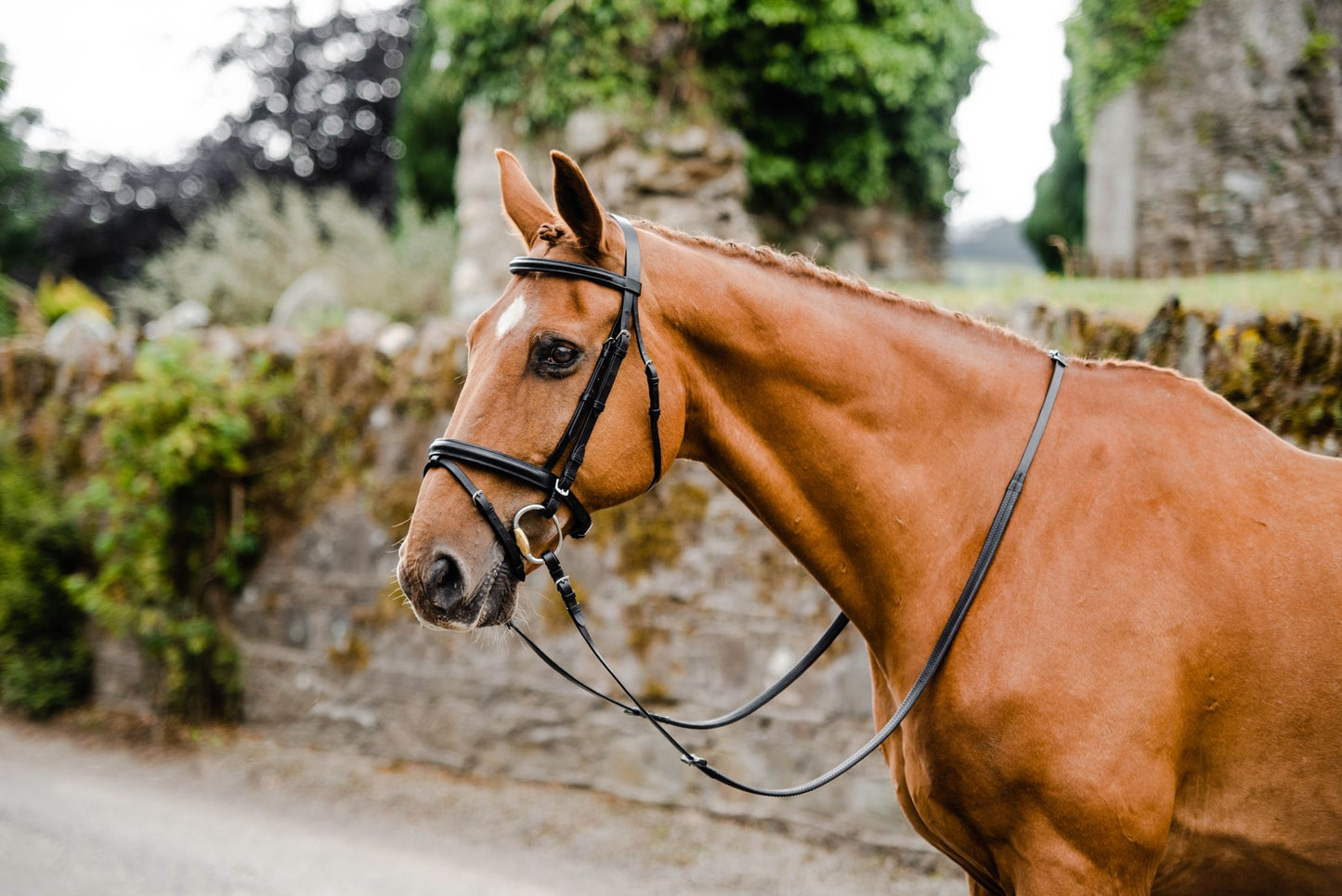 Equisential Bridle