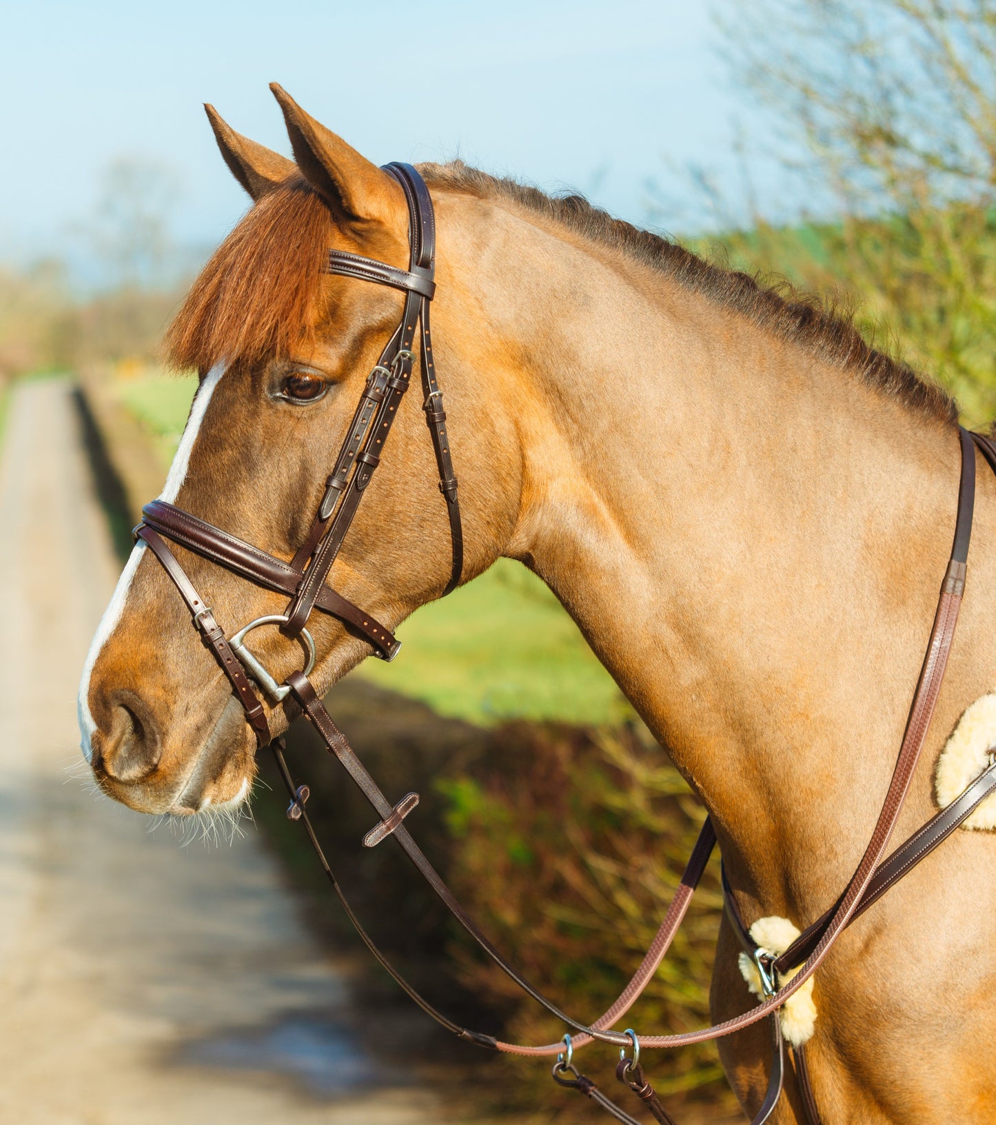 Mackey Classic Padded Flash Bridle