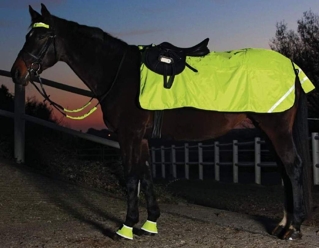 Waldhausen Hi-Viz Reflex Exercise Sheet