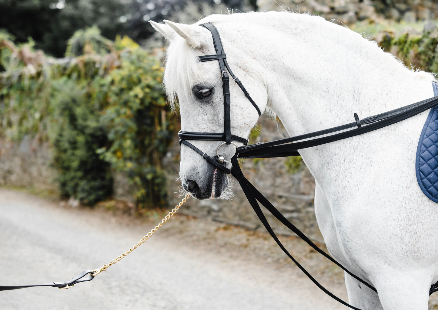 Equisential Padded Draw Reins