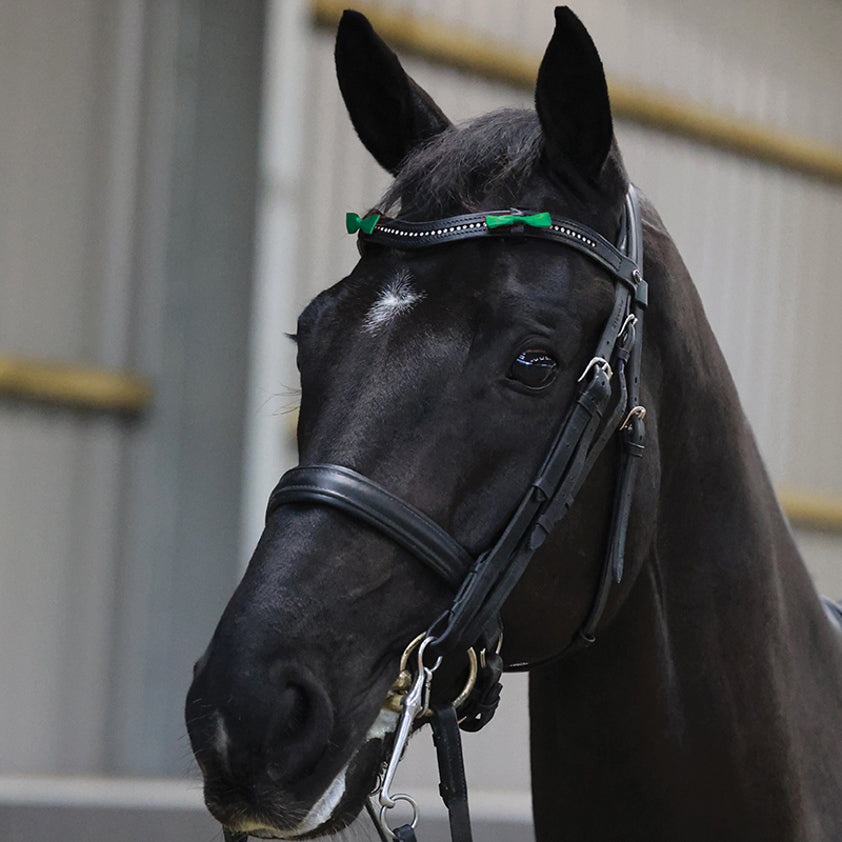 Horse Bridle Warning Ribbons