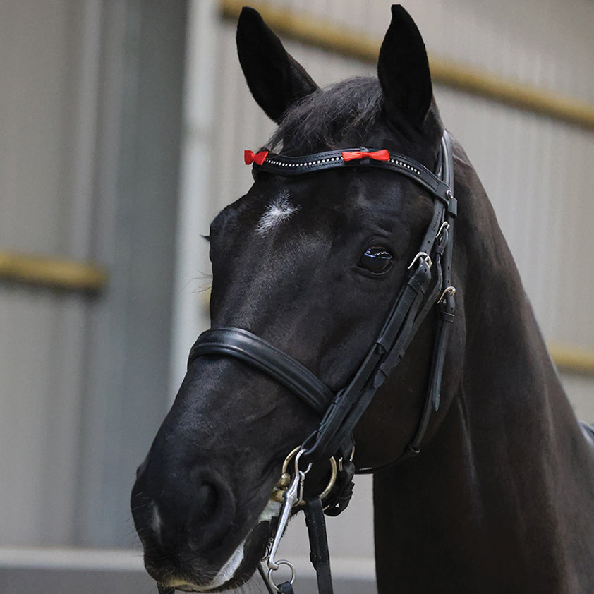 Horse Bridle Warning Ribbons