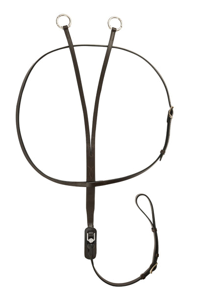 FR Vincitore Martingale