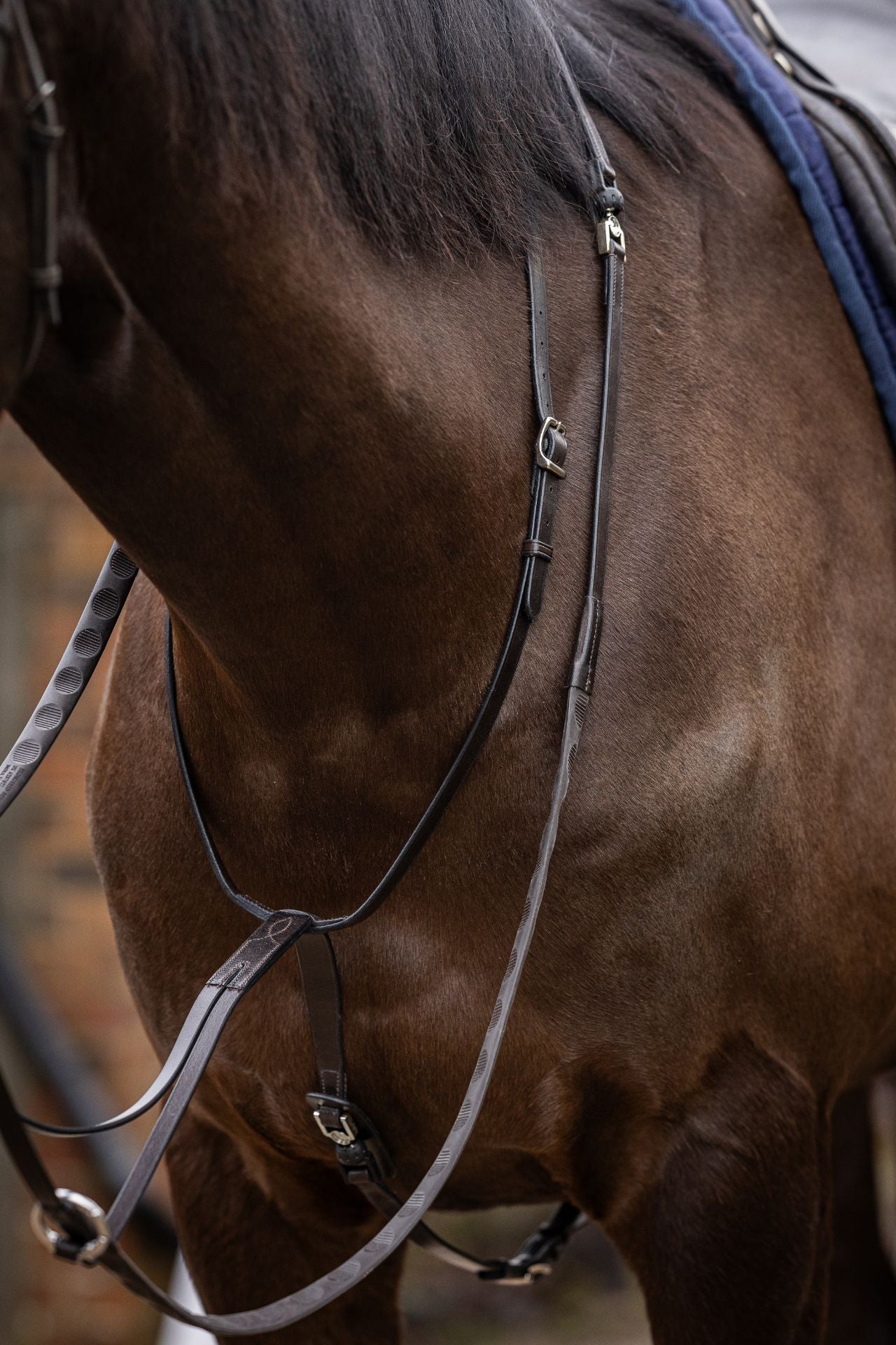 FR Vincitore Martingale