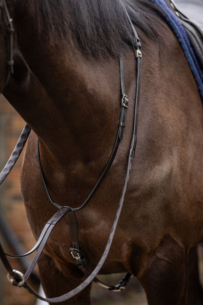 FR Vincitore Martingale