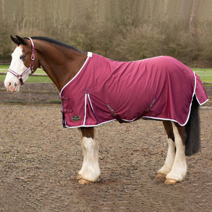 NEW GALLOP Summer Sheet