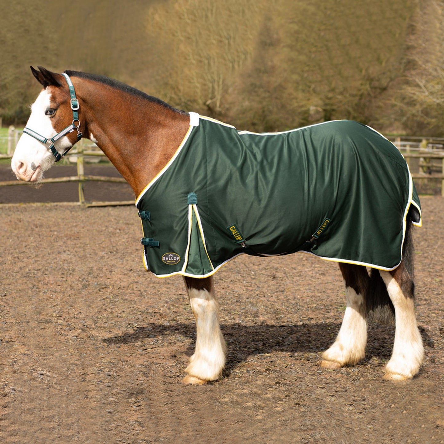 NEW GALLOP Summer Sheet