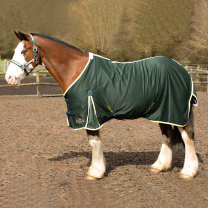 NEW GALLOP Summer Sheet