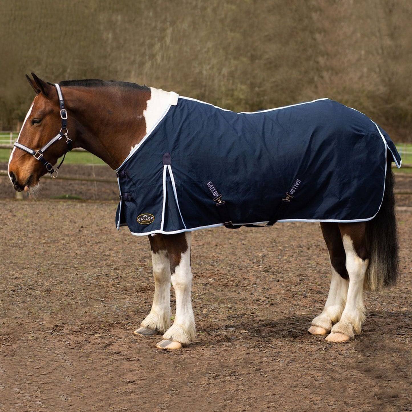NEW GALLOP Summer Sheet