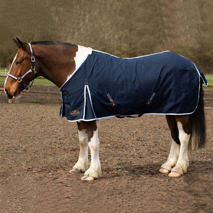 NEW GALLOP Summer Sheet