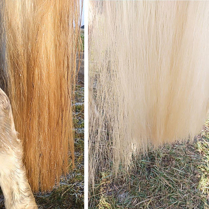 Leovet Shiny White Stain Eraser Spray