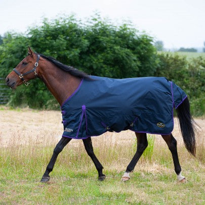 Gallop Trojan Duraproof 5-Point Standard Lightweight Turnout Navy