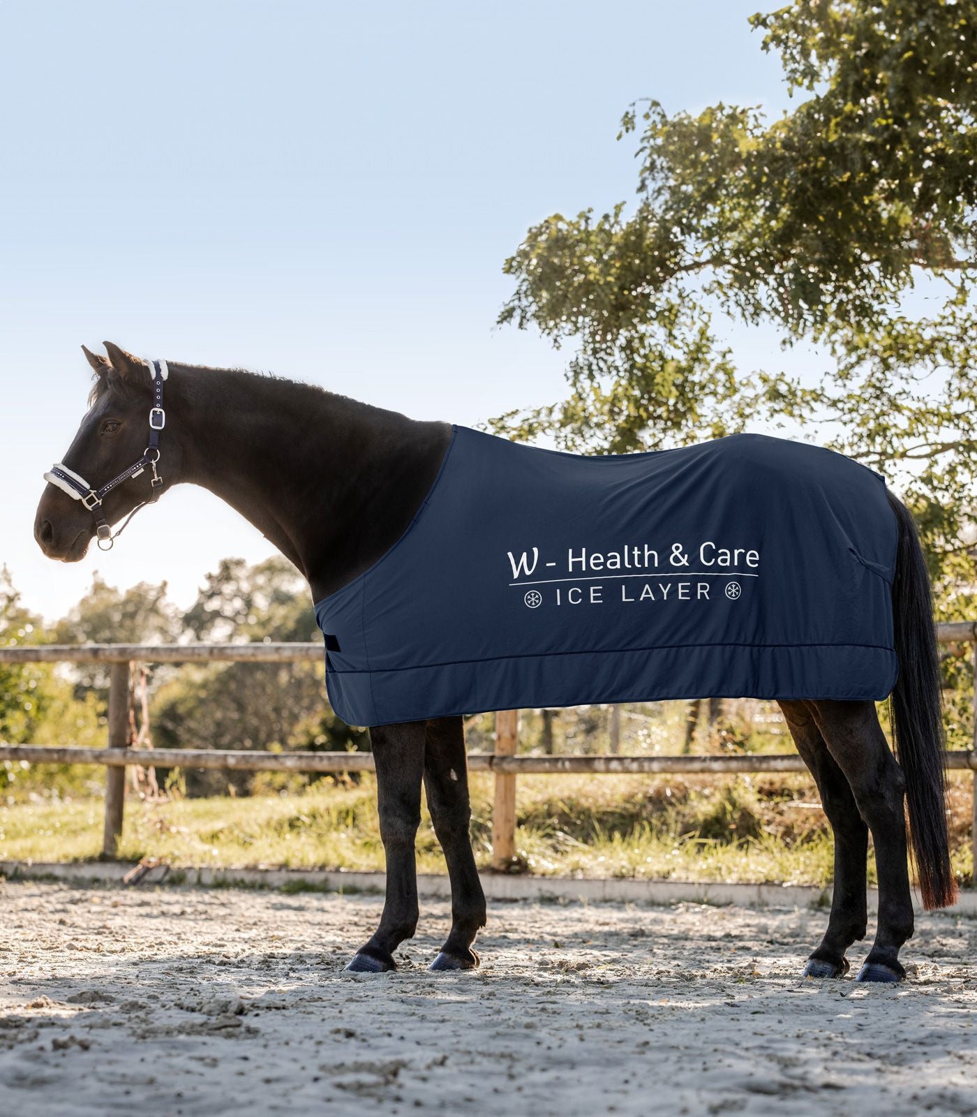 Waldhausen W-Health & Care Ice Layer Rug