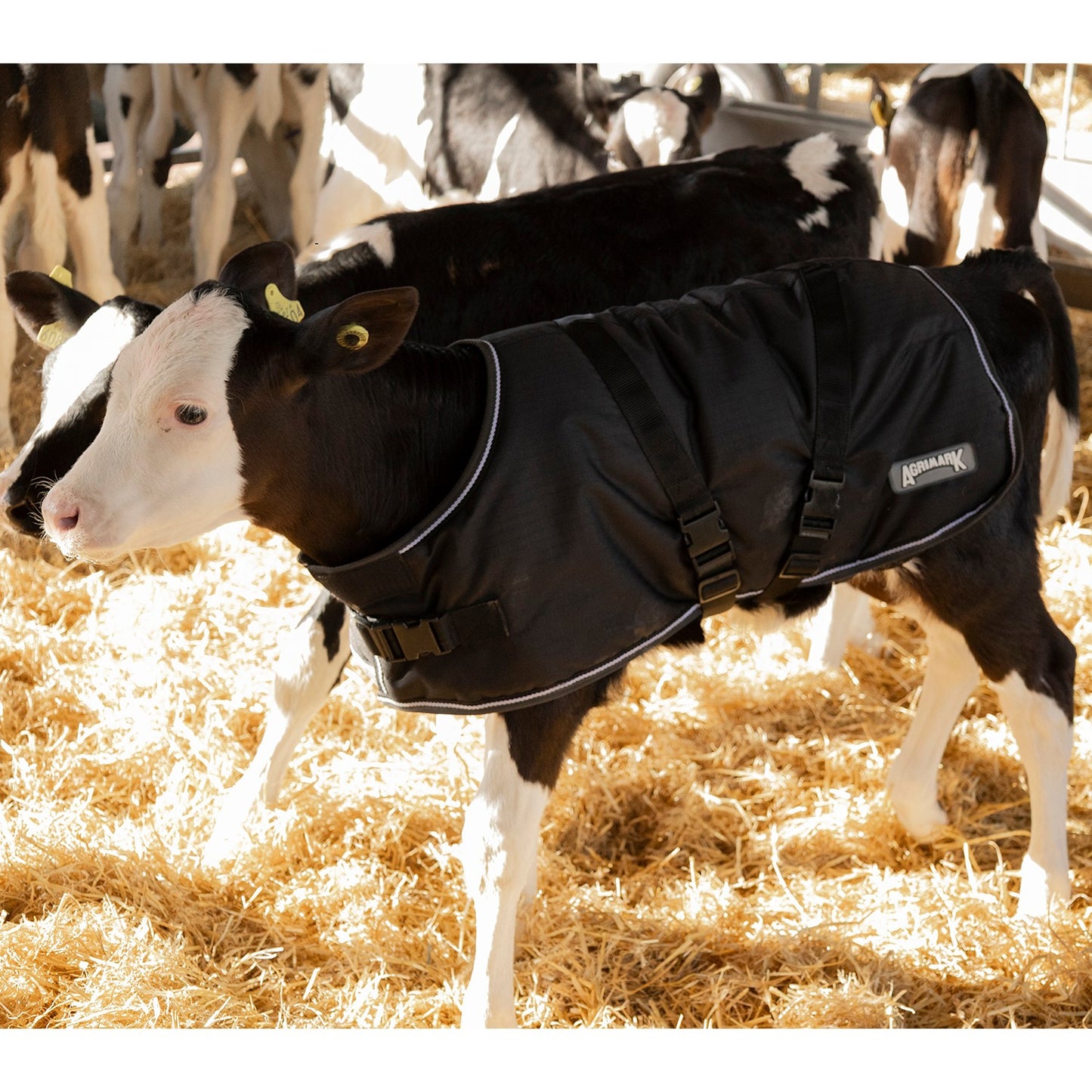 Agrimark Weather Guard Calf Jacket Black/Grey - Large