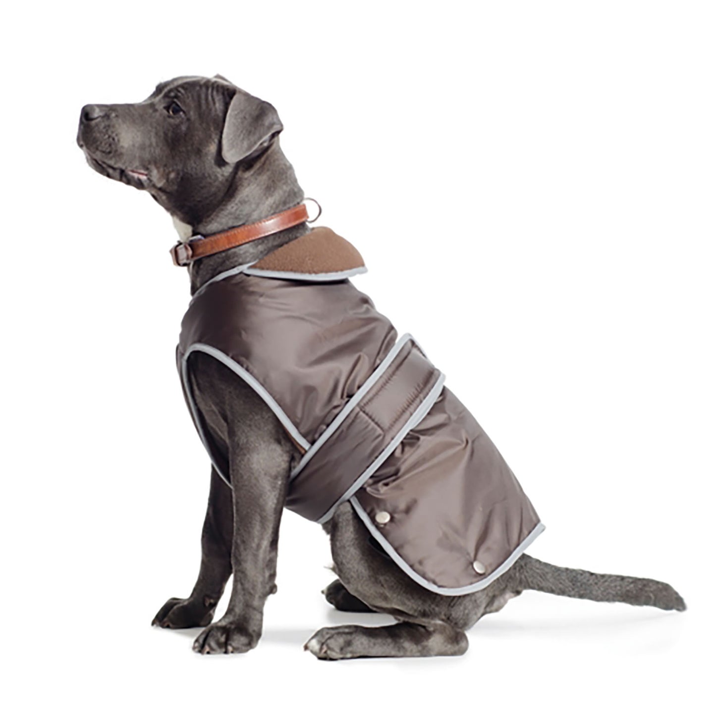 Ancol Stormguard Dog Coat