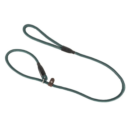 Benji & Flo Classic Slip Lead