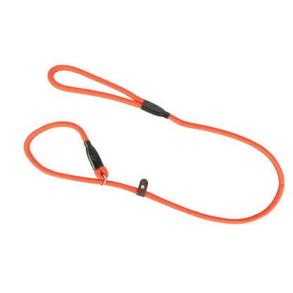 Benji & Flo Classic Slip Lead