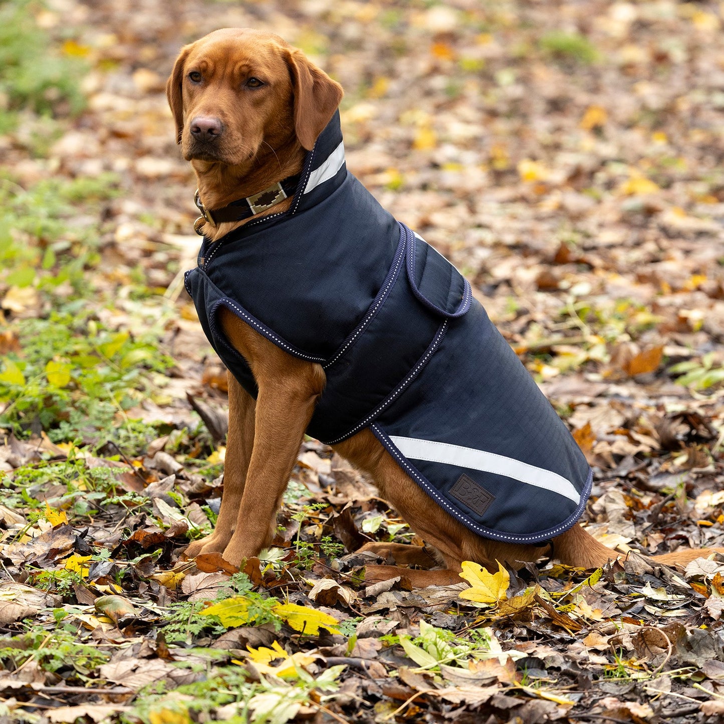 Benji & Flo Waterproof Dog Coat Navy/Reflective Silver - Medium