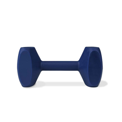 Coachi Training Dumbbell