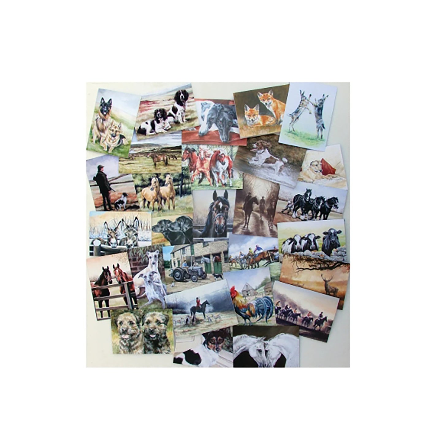 Caroline Cook Equestrian & Countryside Cards