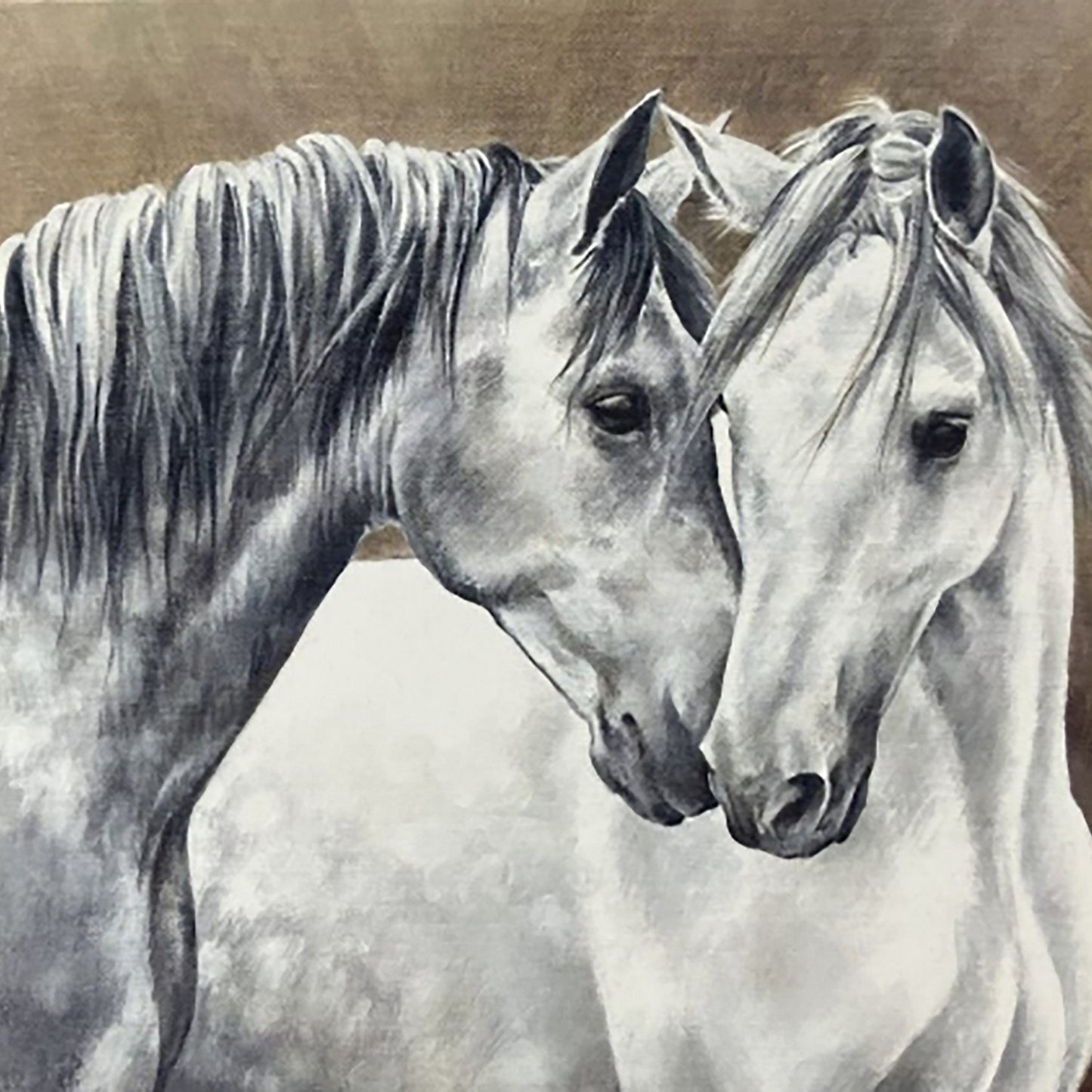 Caroline Cook Equestrian Cards Shades of Grey